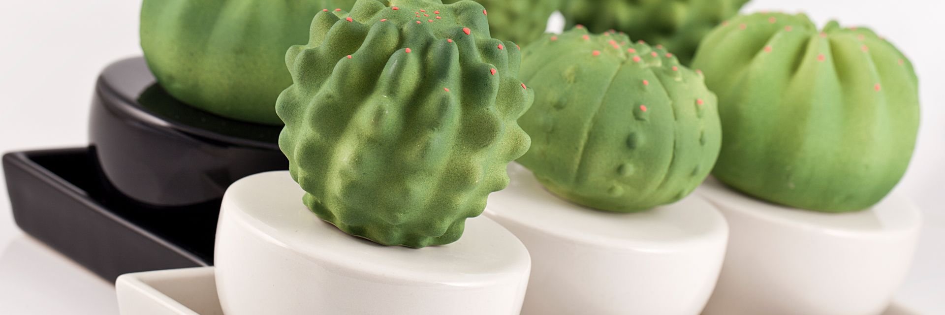 diffusori-cactus4