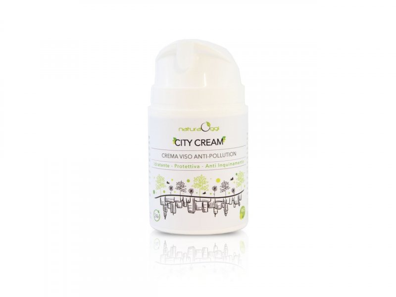 Crema Viso Antipollution -1