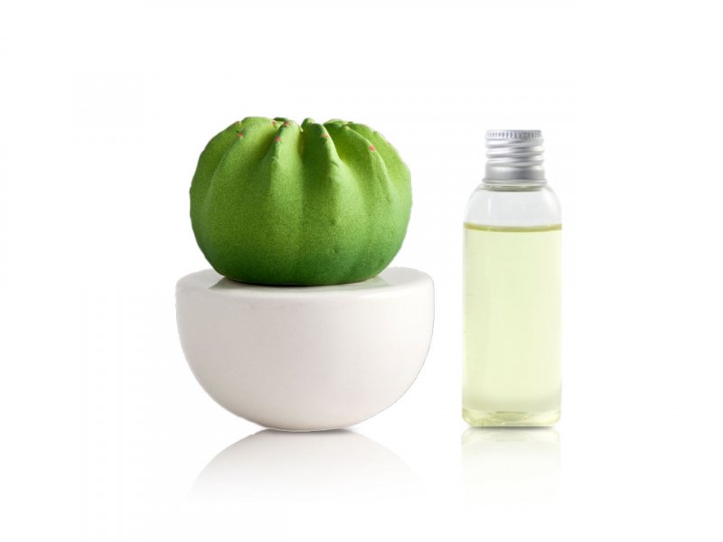 Natura OggiDiffusore Ambiente Cactus Piccolo White 50 Ml CA003