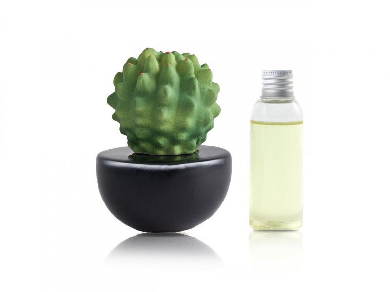 Natura OggiDiffusore Ambiente Cactus Piccolo Black 50 Ml CA006