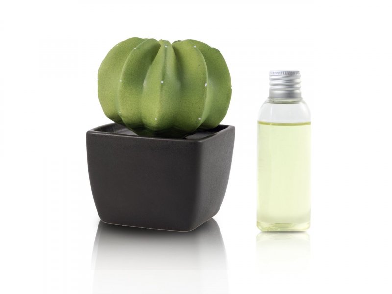 Natura OggiDiffusore Ambiente Cactus Grande Black 50 Ml CA016