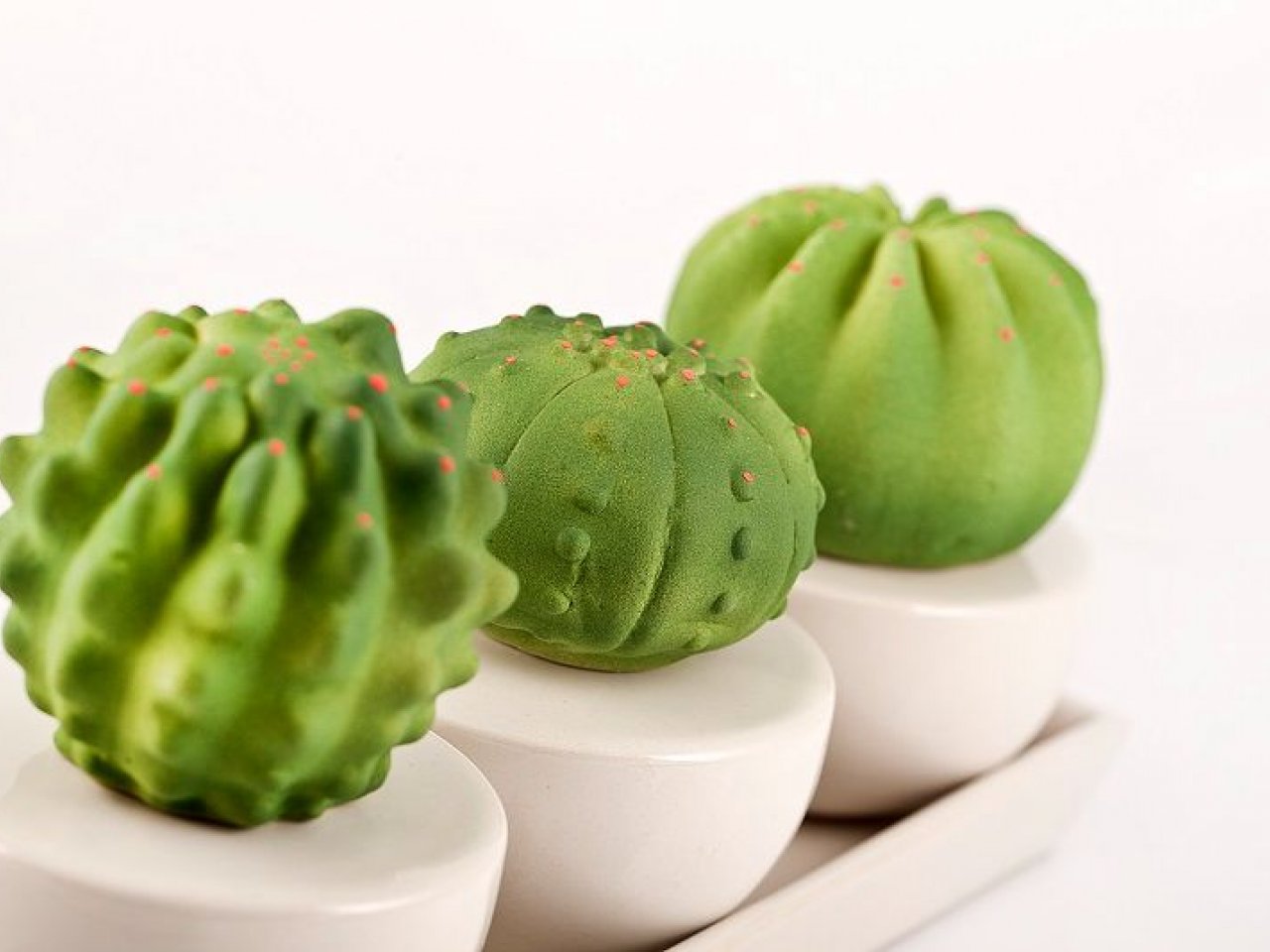 Set Bomboniere Matrimonio Diffusore Ambiente Cactus Piccolo - v1