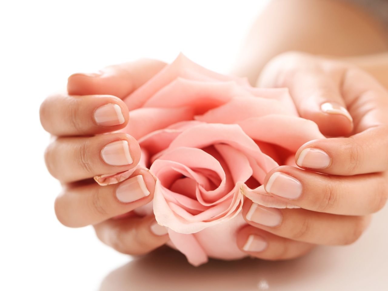 mani-femminili-con-rosa-rosa-concetto-di-femminilita